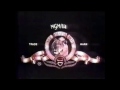Nancy Meyers Charles Shyer Productions Finnegan Pinchuk MGM UA Television 1988