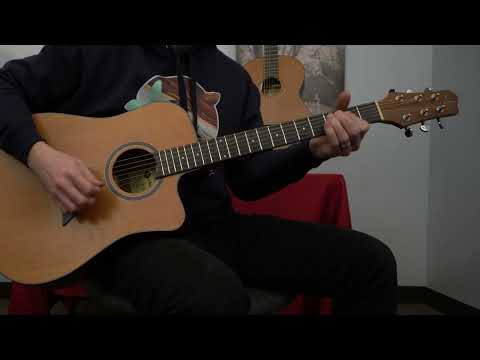 Antonio Giuliani DN-2 Acoustic Guitar image 2