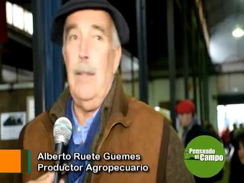 PENSANDO EL CAMPO TV