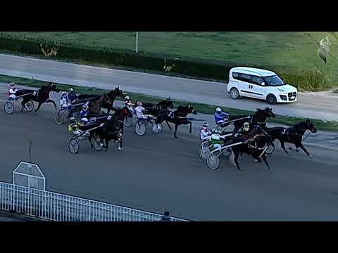 Aversa trotto 11 Gennaio 2023 - 6° corsa