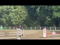Cheval de sport avec c&oelig;ur et exp&eacute;rience