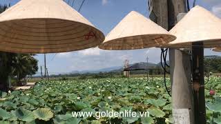 preview picture of video 'Bình Định quê tôi - Golden Life Travel'