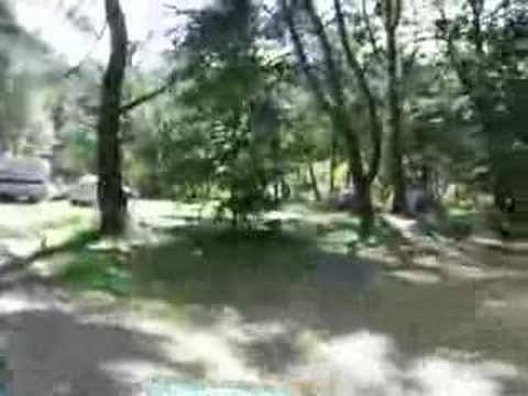 Dębki 2007 - Pole Leśne