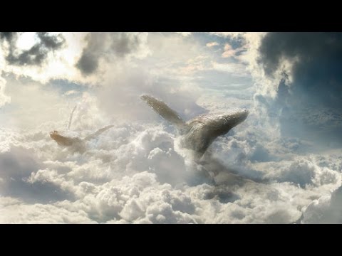 2 HOURS of Flying Through Clouds with Fusion Relaxation Music for Psychological-Rest and Meditation.