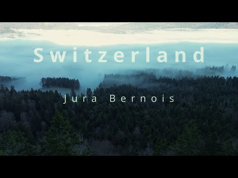 Fog Mystery - Switzerland-Jura Bernois (4K)
