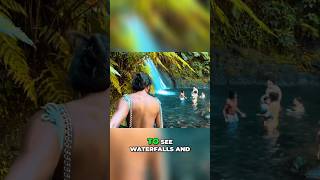 Reasons to Choose Local Guadeloupe Tours Over Cruise Excursions