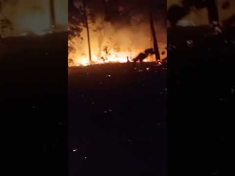 Incendio en Maito, Tarqui, deja un muerto al intentar sofocar las llamas