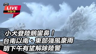 小犬登陸鵝鑾鼻！台南以南、東部強風豪雨　