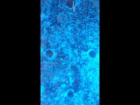 Acrylic Bubble Wall at Best Price in India