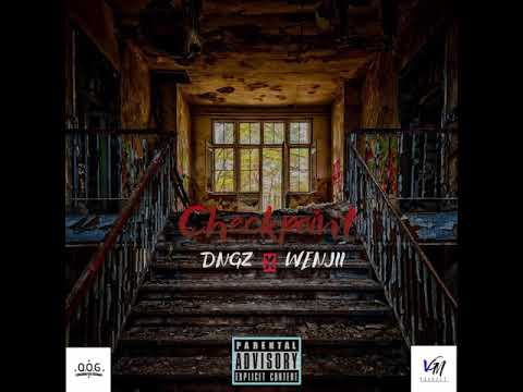 DNGZ (feat Wenjii) - CheckPoint (Prod by LCOTT)