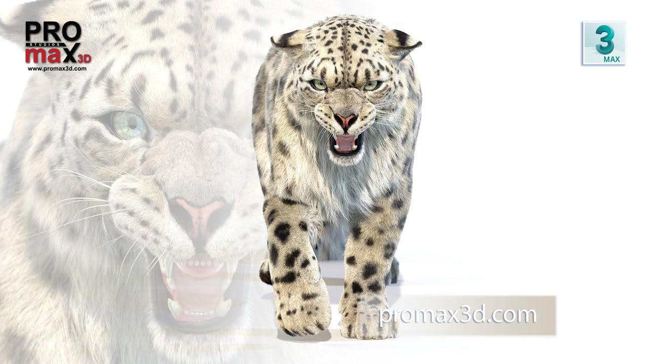 Title Animated Snow Leopard Fur 3D Model