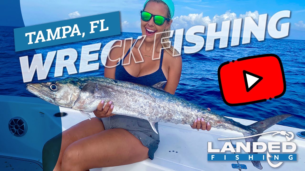 Offshore Wreck Fishing Tampa Florida EP 5