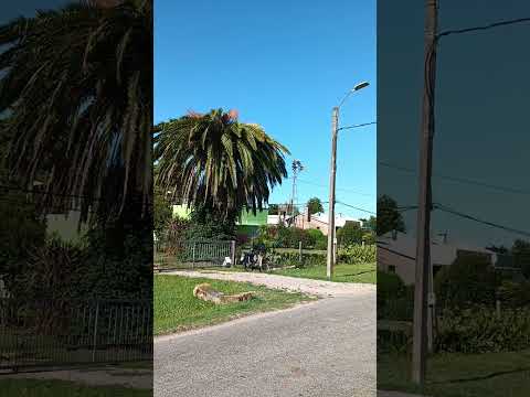 La Boyada , #LaBoyada , ruta 1 , dpto. San José 🇺🇾 .