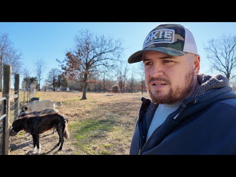 The Guard Dogs Deserve This