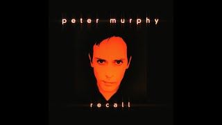 PETER MURPHY - Big and Tiny (live) [from the 1998 &#39;Recall&#39; ep] audio