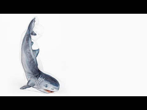 Jonathan Macauley Photography video.