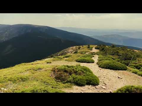 Sendero Puerto de Navafría al Nevero (Parque Natural Sierra Norte de Guadarrama - SPN 57 - Segovia)