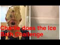 Charlie Does The Ice Bath Challenge