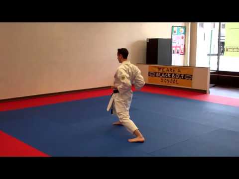 Junro Sandan (slow motion) - Warren Levi Karate