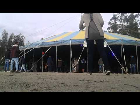 Carnivaland 14.02.2015 .