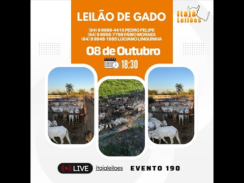 LEILÃO DA ITAJÁ LEILÕES