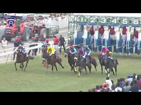 RM11 R5 - Yankee Captain(R.Fradd)