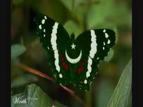 Wagdi ae Ravi - Alam Lohar duet