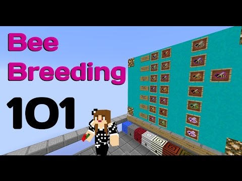 Bee Breeding 101 on Minecraft