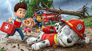 Download lagu OMG... Marshall Please Wake Up! 😭 Don’t Leave Paw Patrol!?! | PAW Patrol 3D Animation | Rainbow 3 mp3