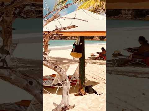 Best Beaches on a Caribbean Cruise - Part 4 - Fort James Beach - Antigua
