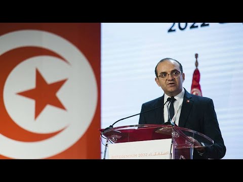 التونسيون يصوتون لصالح الدستور الجديد بنسبة 94,6 بالمئة بحسب النتائج الأولية…