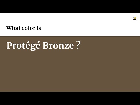 Protégé Bronze color #66543e hex color - Brown color - Cool color 66543e