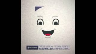 Captain Hook & Freedom Fighters - Marshmallows (Symphonix Remix)