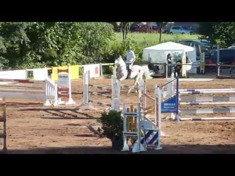 Cowaldsky 6 J. Hengst v. Cornet Obolensky