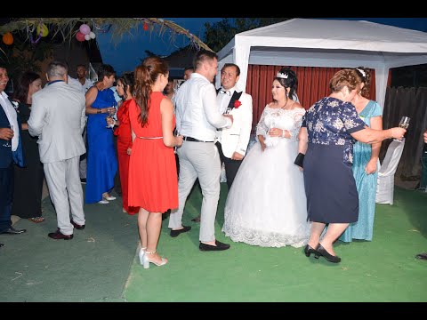 Primirea invitatilor la nunta Barbatescu