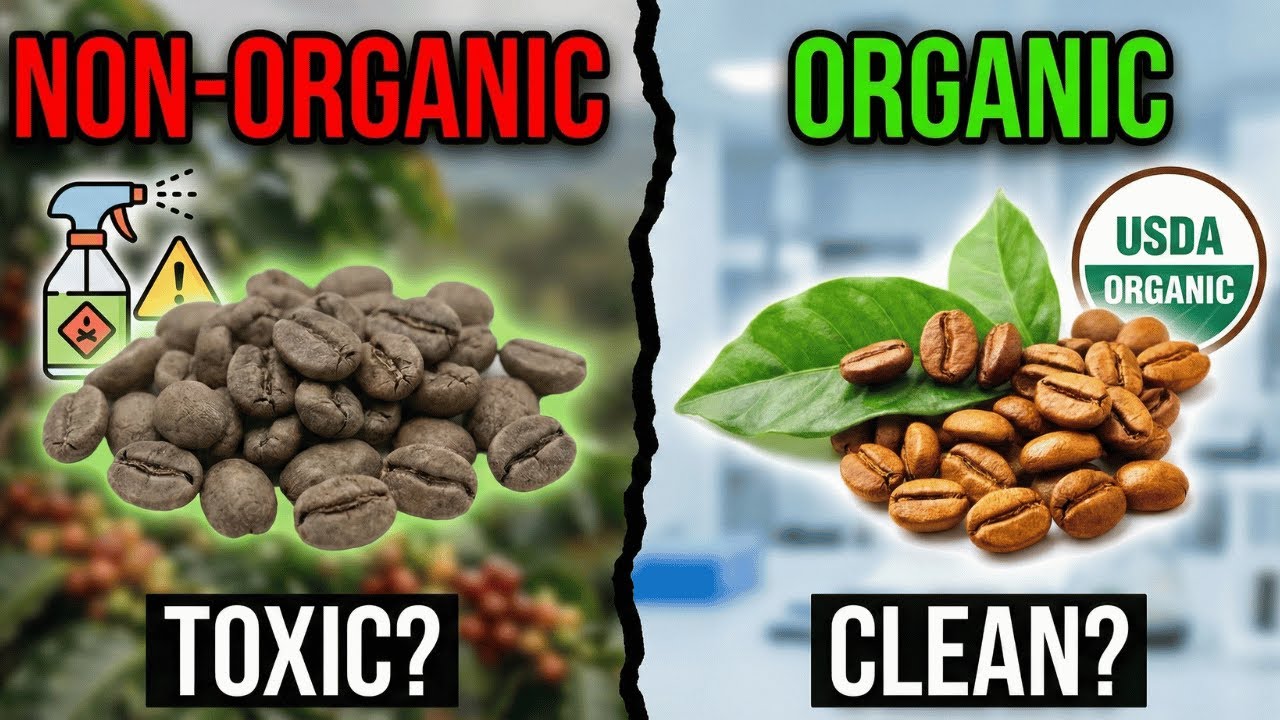 Organic Coffee vs Conventional Coffee