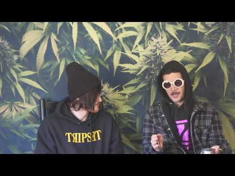 Strain Tasters Cannabis Reviews - Sorbetto