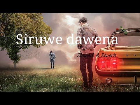 Siruwe dawena Slow+Reverb ( රවන්නට මා දිහා බලලා) #siruwe_dawena #rawannata #rawannata_ma_diha_balala