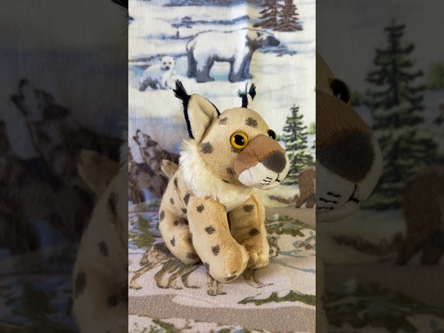 Vídeo relacionado con Wild Republic Pocketkins Eco Mofeta, Peluche, 12 cm, Juguete de Peluche, Hecho de Materiales Reciclados, Ecológico