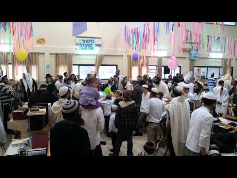 ToratHachaimHallel - VeHasheiv