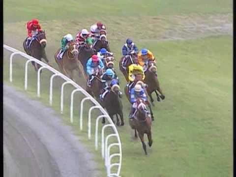 Captain`s knock wins gold cup