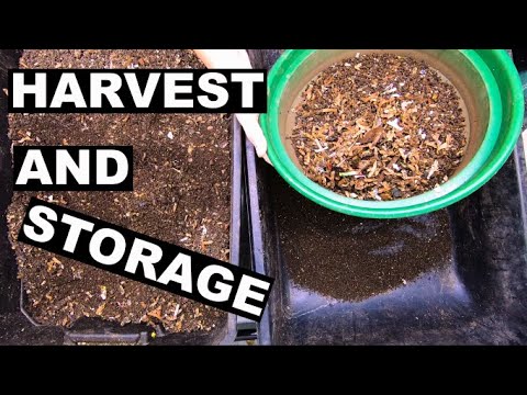 Harvest Worm Castings and Storage- Refresh Leftover bin