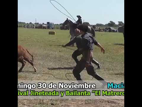 Pialadas de vacunos Campo Andino Santa Fe Parte 2