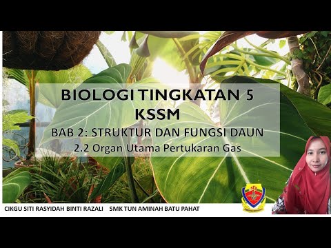 BIOLOGI TINGKATAN 5 BAB 2: ORGAN UTAMA PERTUKARAN GAS