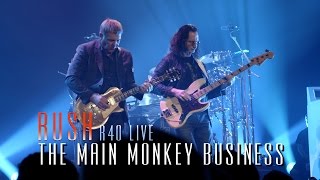 Rush | The Main Monkey Business - R40 LIVE