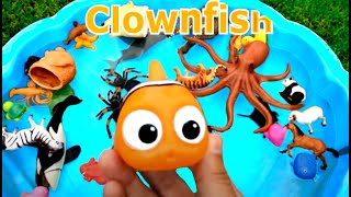 Learn Colors With Wild Animals and Sharks in Blue Water Tub Toys For Kids