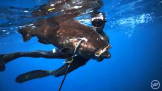 Existence, Spearfishing the Bahamas and Ascension