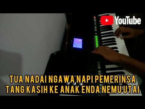 NUAN LIMPANG MUAI PENEPAN LIVE KEYBOARD - PHOEBE CHLOE (KARAOKE VERSION)