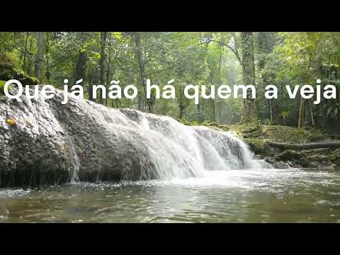 KARAOKE IGREJA DE SANTO ESTEVÃO