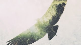 Froogle - Vultures (ft. Anuka) [Heroic]